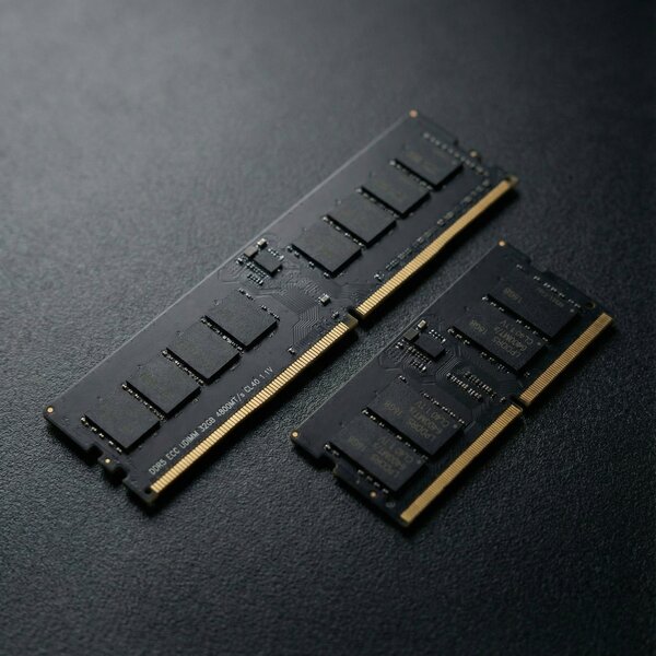 DDR5 ECC